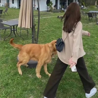 关于她的二三事